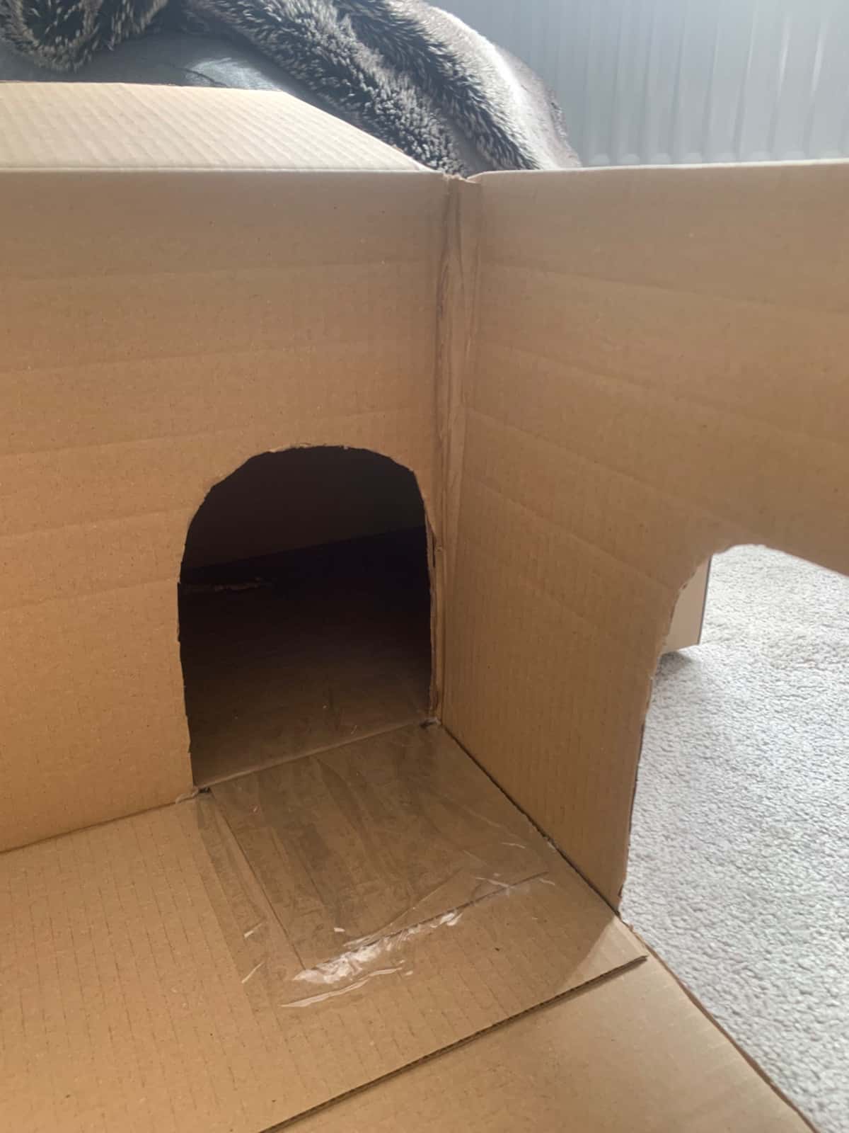 How To Make a Cardboard Cat House