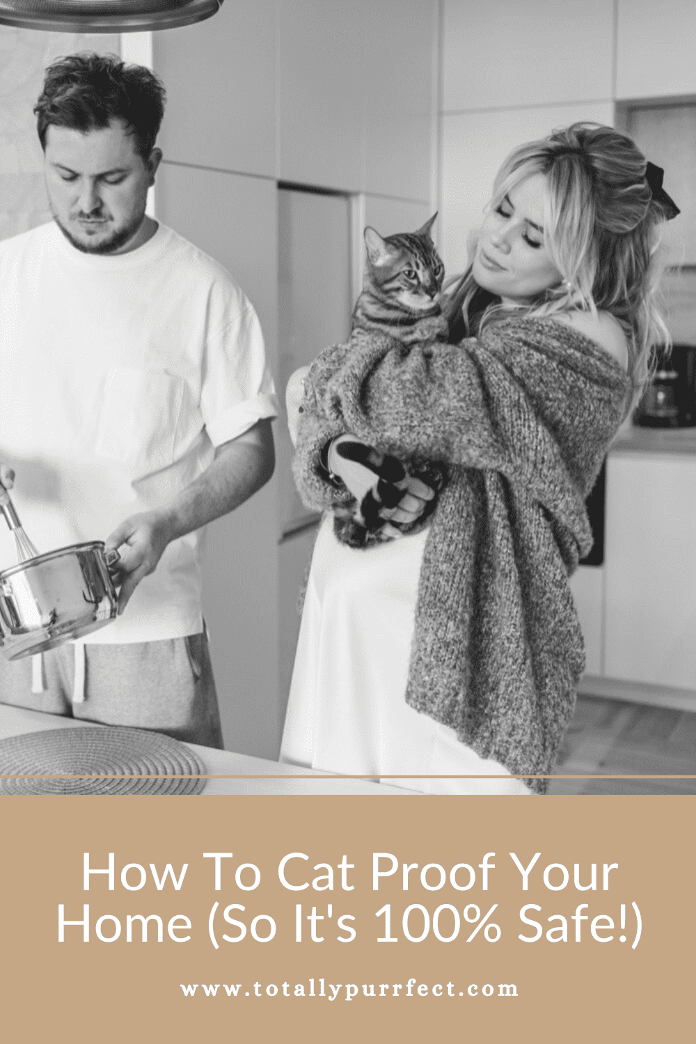 How To Cat Proof Your Home (10 Key Steps + Checklist!)