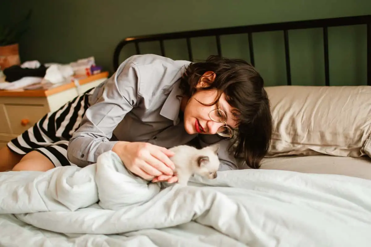 Tips For Bringing a Kitten Home 4 getting a kitten settled in