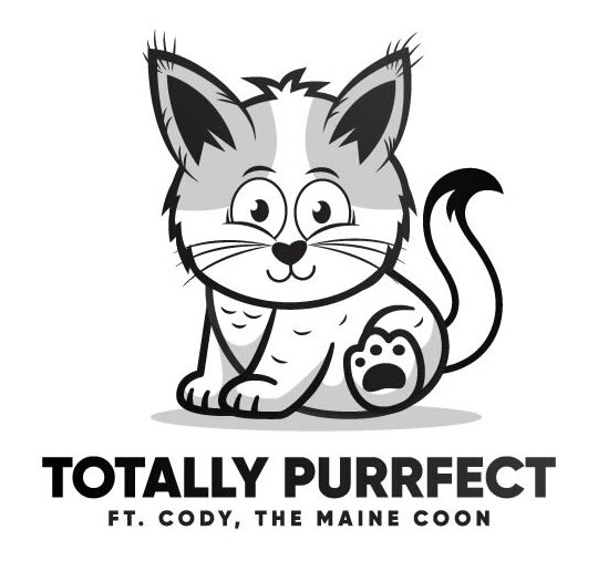 How To Stop Cats From Jumping On Counters (In 5 Simple Steps)